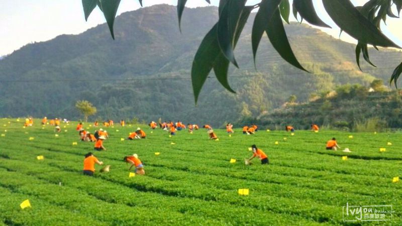 安溪旅游攻略图片13